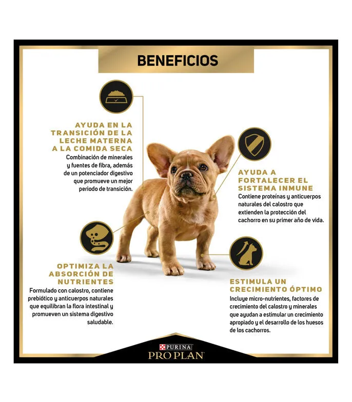 PURINA PRO PLAN Alimento Seco para Perro OptiStart - Raza Pequea Puppy, 1 Kg